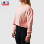BORN PRIMITIVE The Training Crop Long-Sleeve naisten pitkähihainen paita - Ruusu
